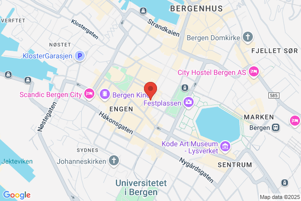 Foreningsbingo
