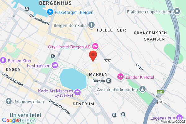 Hattespesialisten Ans