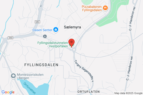 Ferde - Jondalstunnelen