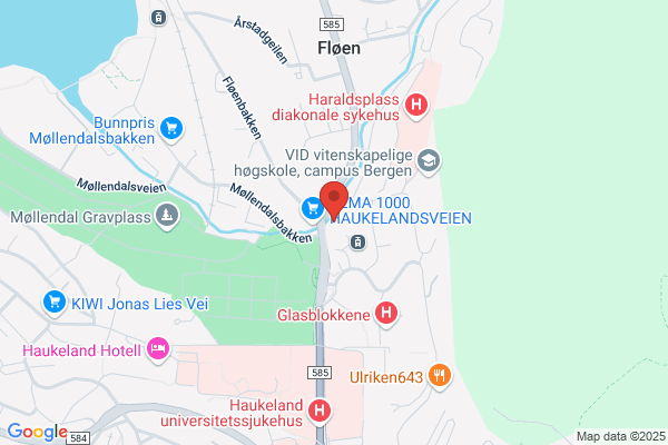 Cruise Spesialisten As