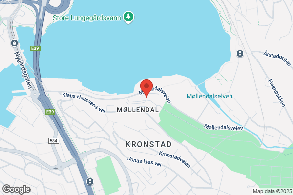 Fakta Revisjon