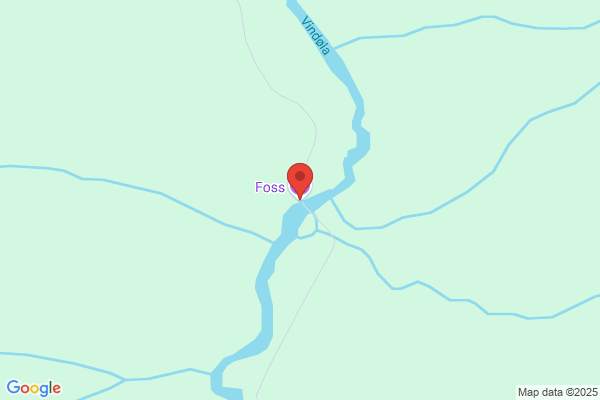 Foss Vibeke