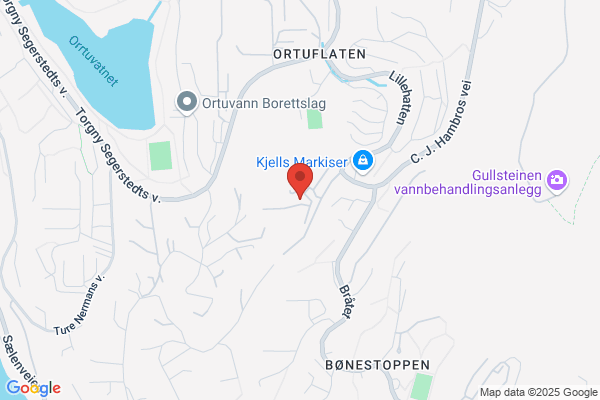 Rasmussen Odd H Urmaker