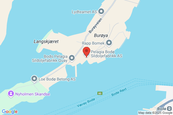 Bodø Sildoljefabrikk A/s
