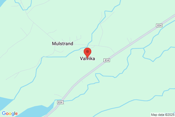 Valvik Mildrid
