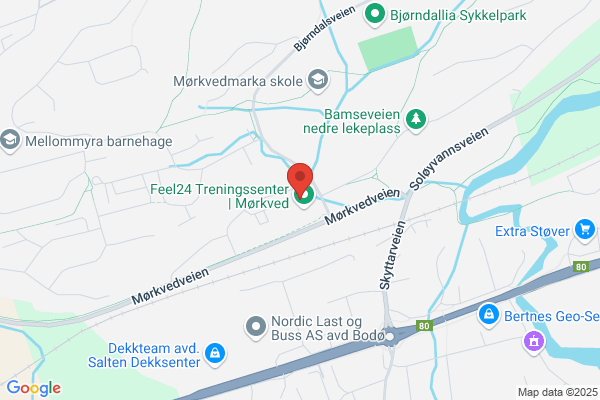 Salten Regnskapslag