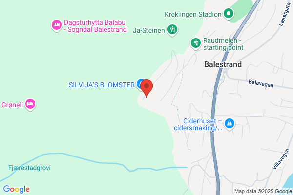Buene Røyrservice