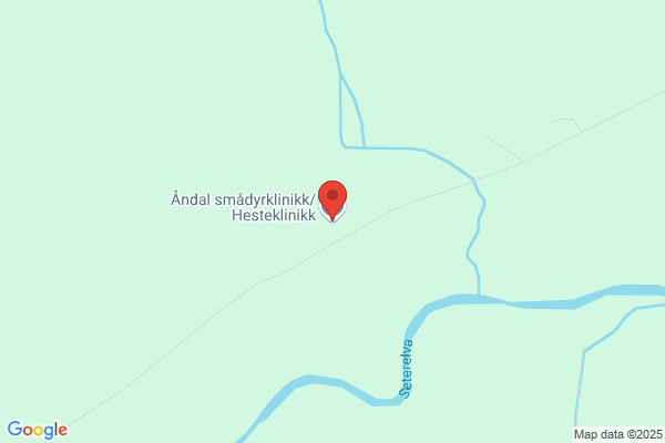 Åndal Hesteklinikk