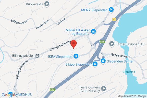 Slependen Veiservice (tiger As)