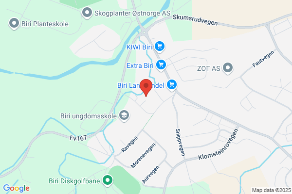 Rugsveen Vidar