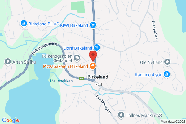 Birkeland Busser