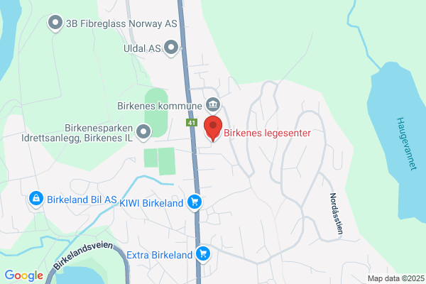 Kommunelegen I Birkenes