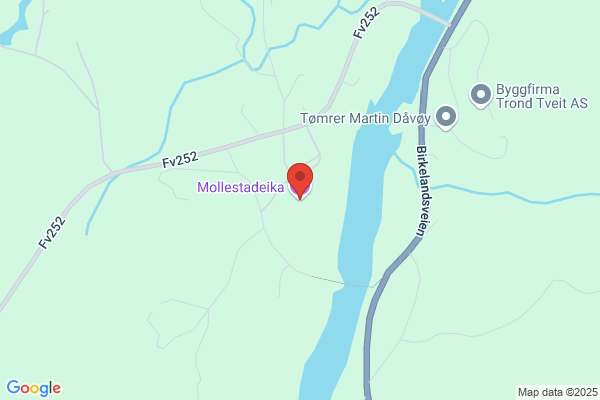 Mollestad Magne