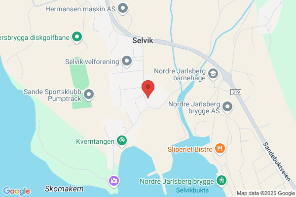 Alternativt Nettverk Ans