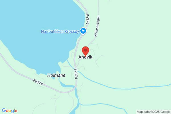 Andvik J O