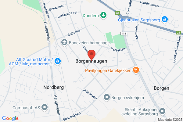 Borgen-bua