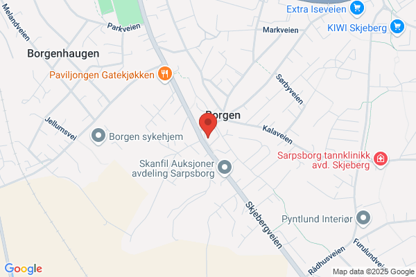 Kiwi-borgen Mat As