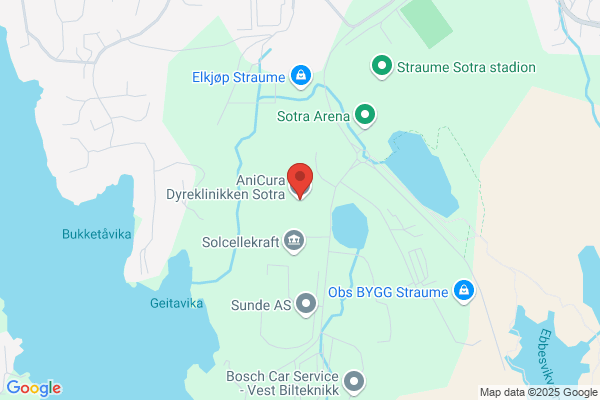 Veterinærkontoret På Sotra