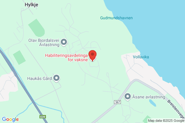 Habiliteringstenesta For Vaksne Funksjonshemma