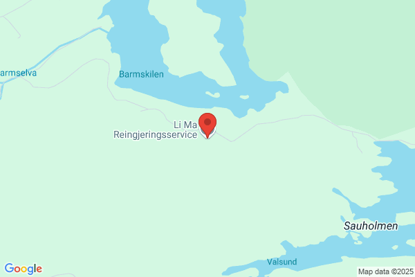 Li Ma Reingjeringsservice