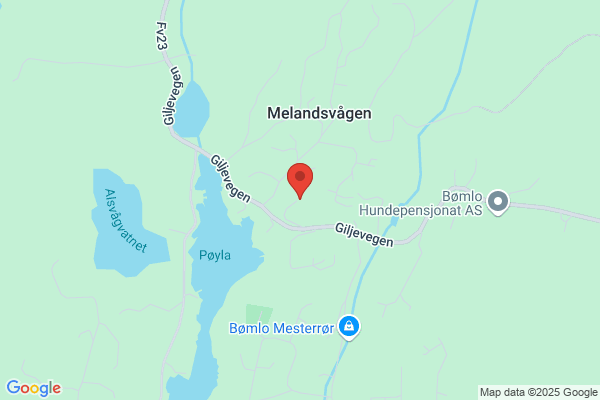Mæland Dan Magne