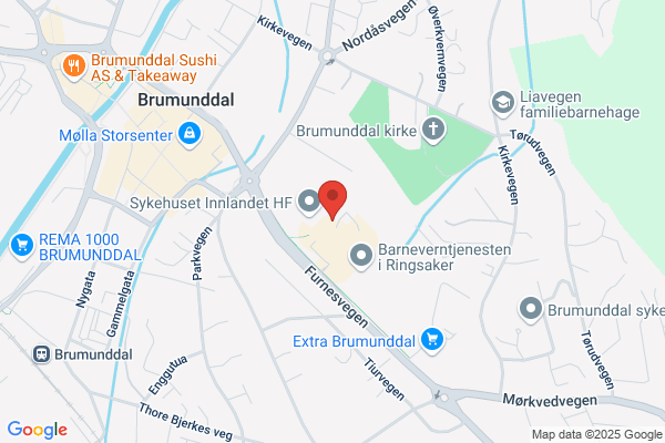Dala Økonomi AS