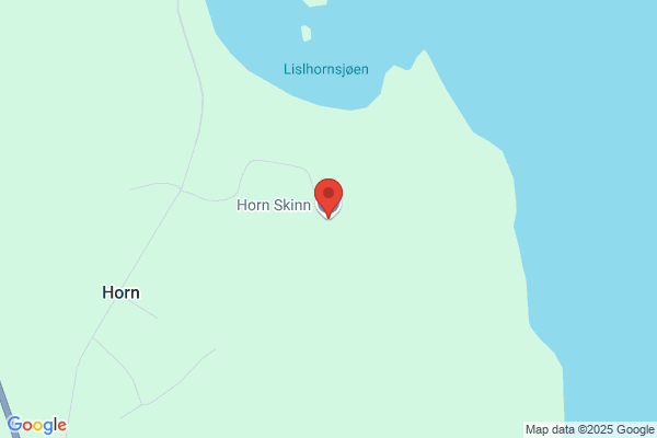 Horn Skinn