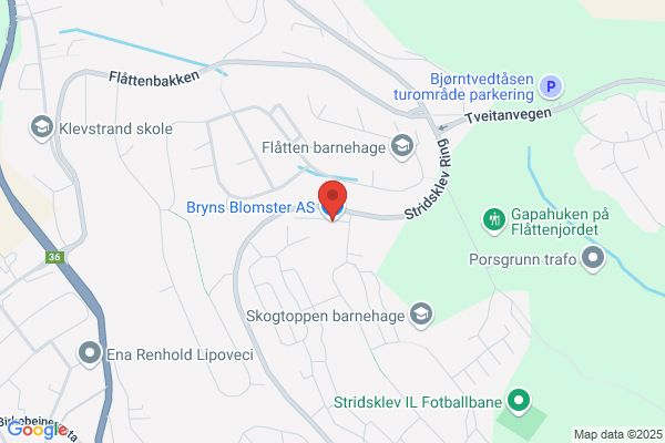 Interflora (eldbjørgs Blomster As)