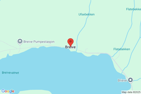 Breive Håkon