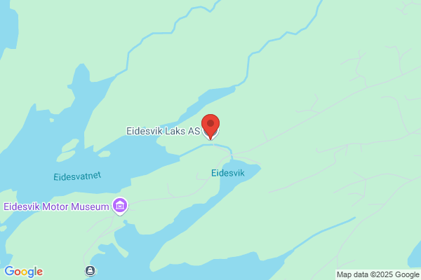 Eidesvik Arne