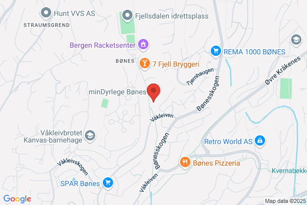 Bache Økonomi & Regnskap As