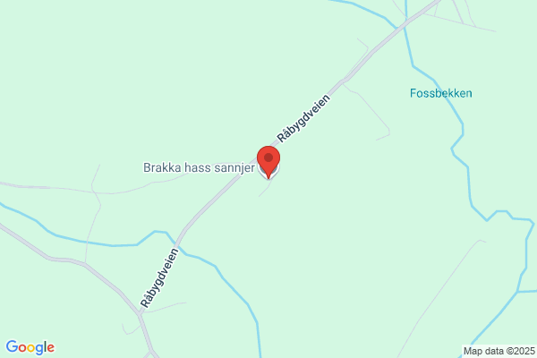 Bjørkaas As