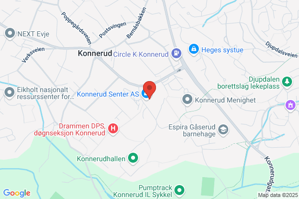 Drammens Banken, Skoger Sparebank