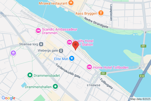 Statsforvalteren i Oslo og Viken - Drammen