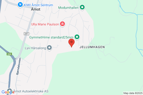 Fi-va Regnskapstjeneste