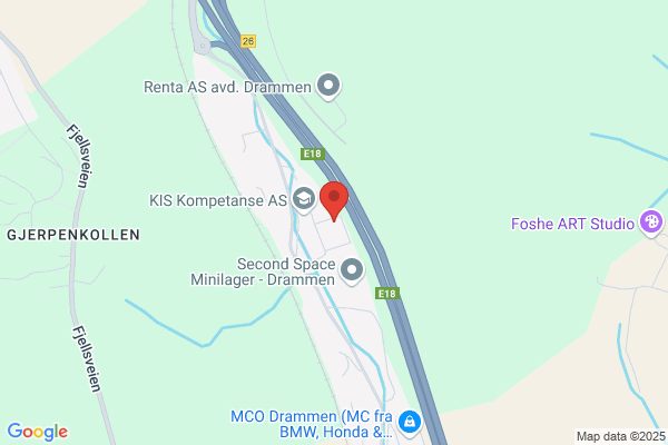 Økonomistyring