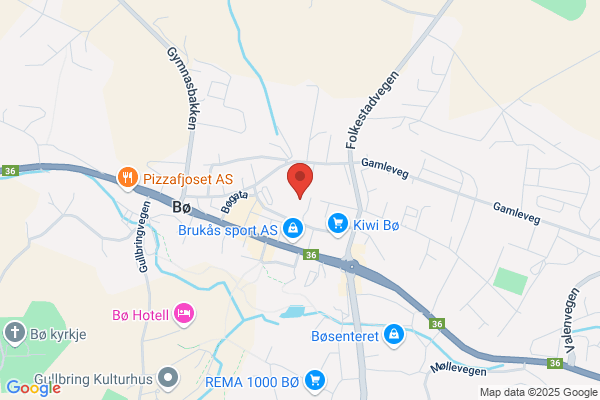 Telemark Dental