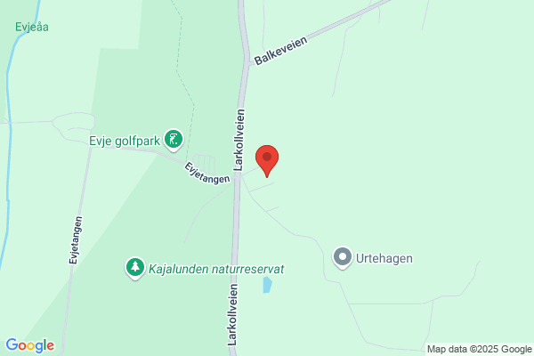 Rygge Elverk As