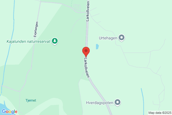 Rygge kommune