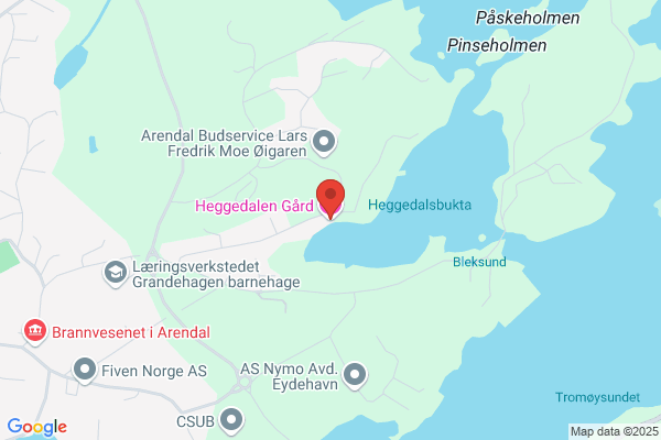 Heggeli Arne