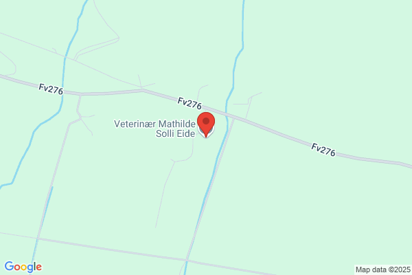 VeterinÆrtjenesten I Eide