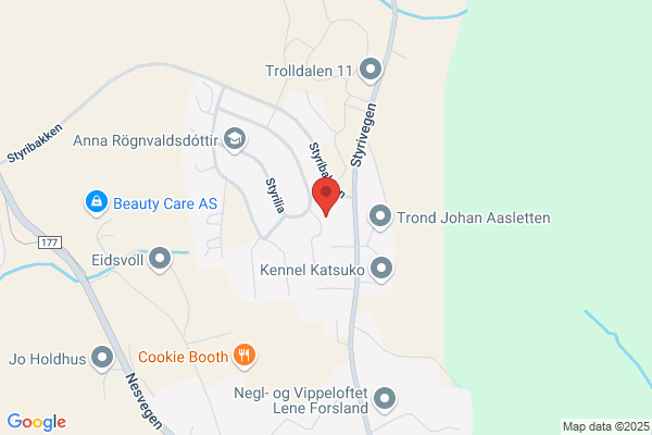 Adb-konsulenten Fredheim