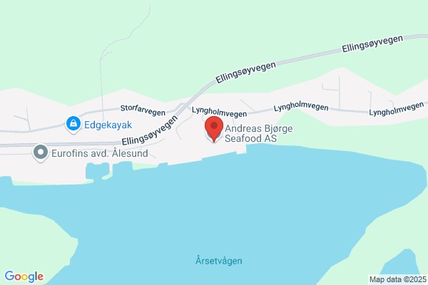 Drevika As