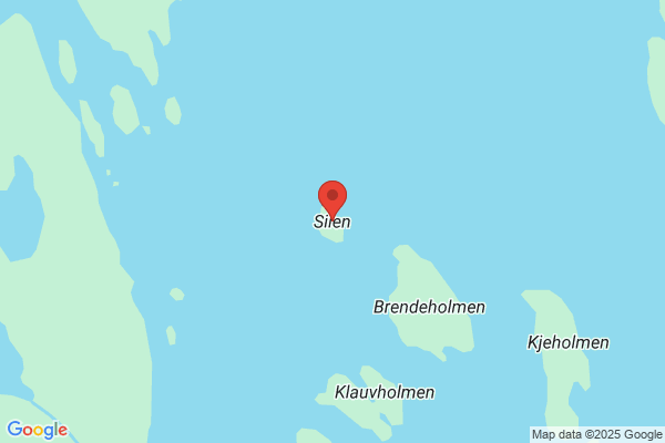 Søilen Consulting As
