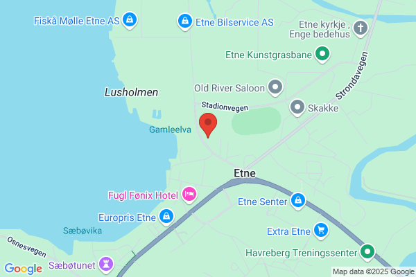 Etne Elektrisitetslag