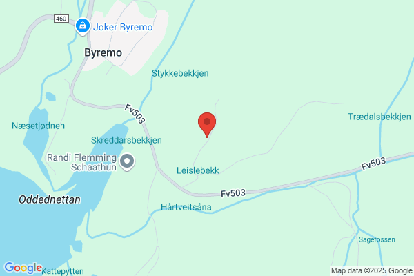 Go'foten Fotklinikk