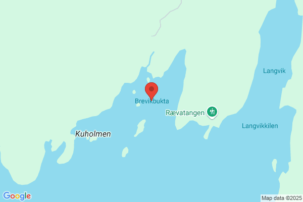 Brevik Ann-mari