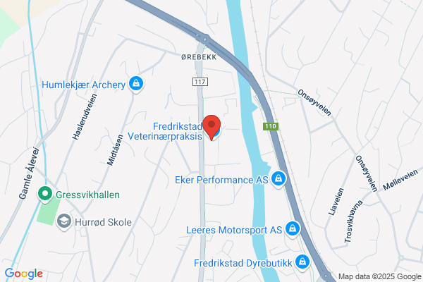 Rønning Vidar