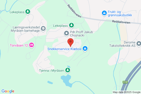 Viken Arild