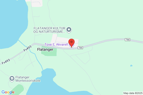 Toves Reinhald Og Vikarteneste